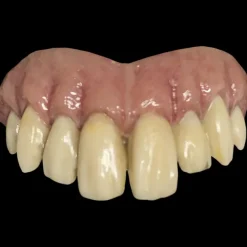 Bitemares Horror Teeth - Goofy Teeth