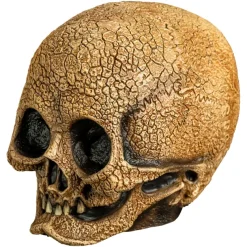 Illusive Concepts - Cranial Skull Mask